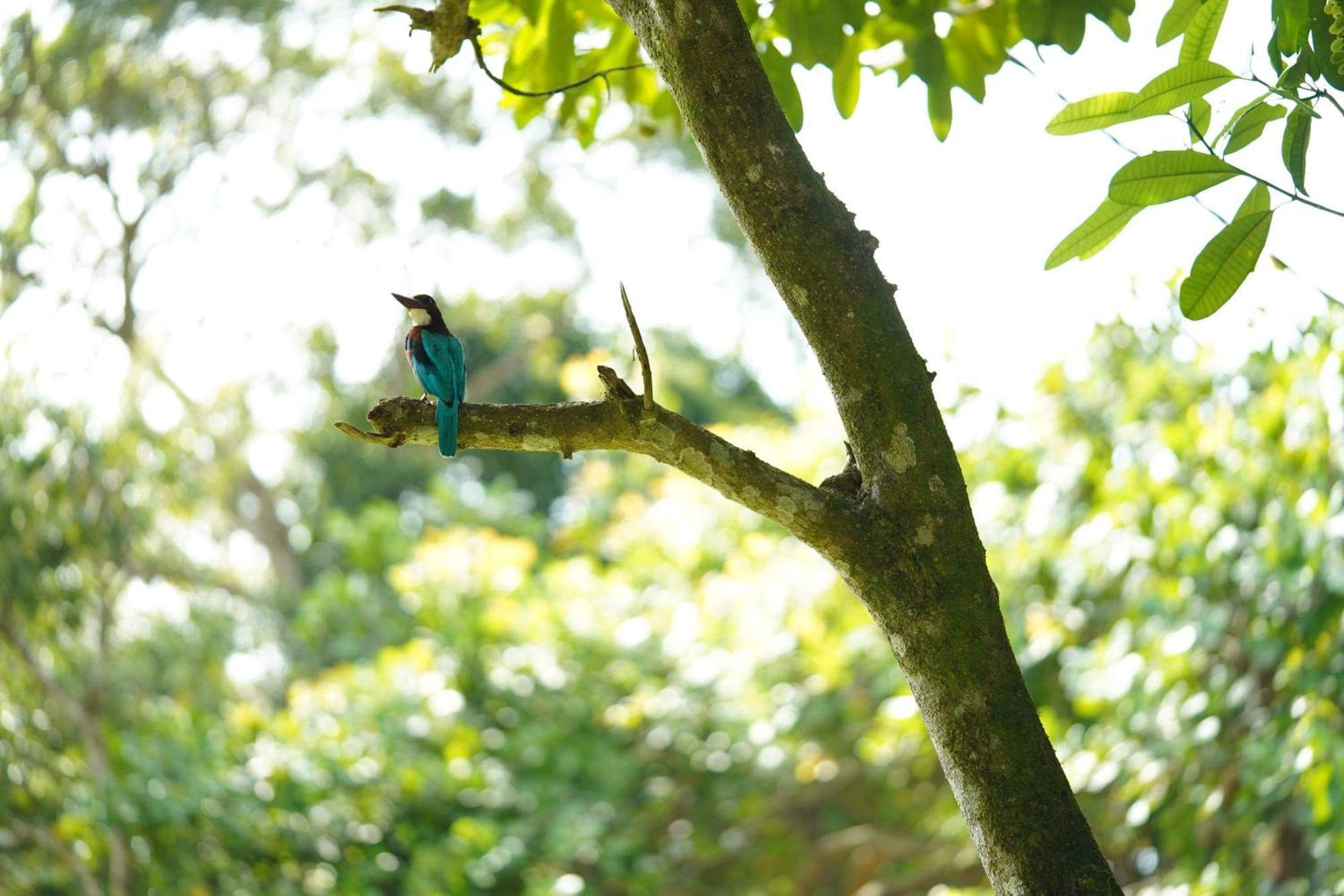 Lake Resort Bolgoda Wadduwa Luaran gambar